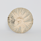 2005 Nannuo Mountain Wild Raw Pu-erh Tea (2005年南糯山野生生茶)